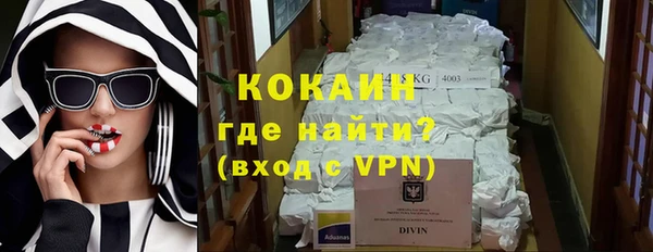 спиды Богородск
