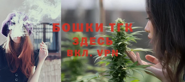 spice Богородицк