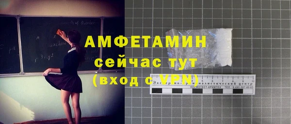spice Богородицк
