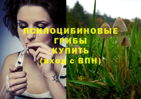 spice Богородицк