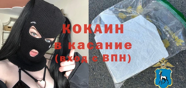 spice Богородицк