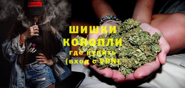 спиды Богородск