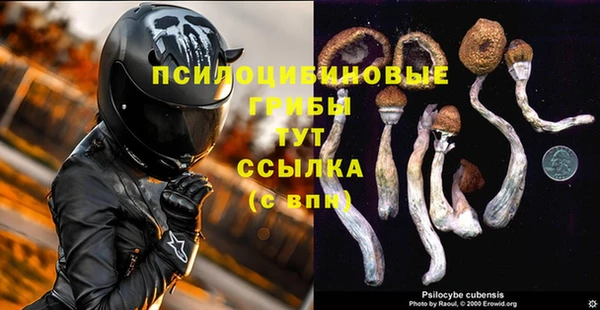 прущий лед Богданович