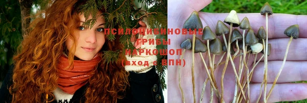 spice Богородицк
