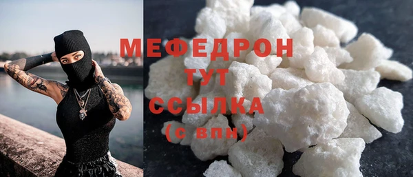 spice Богородицк